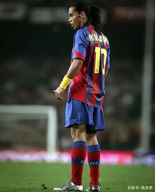 完美诠释了 完美诠释了